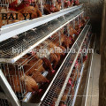 Kosten-Preis-Förderung eine Art Huhn-Geflügel-Batterie-Käfige für Schichten für Verkauf